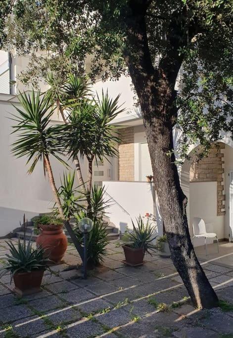 Appartement Lecci Al Mare à San Vincenzo Extérieur photo