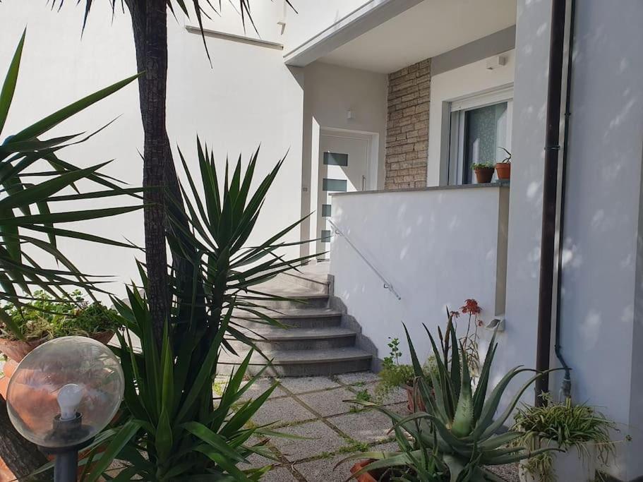 Appartement Lecci Al Mare à San Vincenzo Extérieur photo
